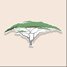 acacia